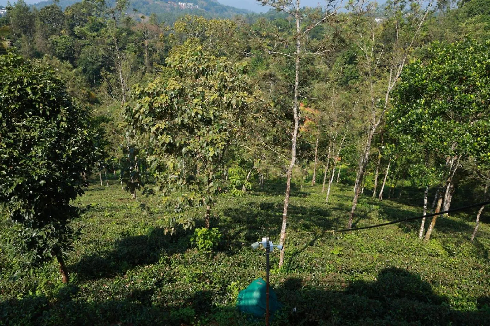 Munnar Ethan'S Valley 0*,  Indie